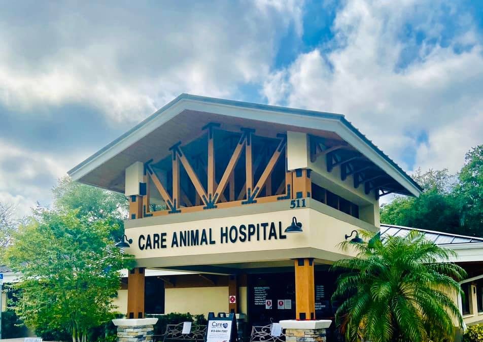 Animal Hospital Image